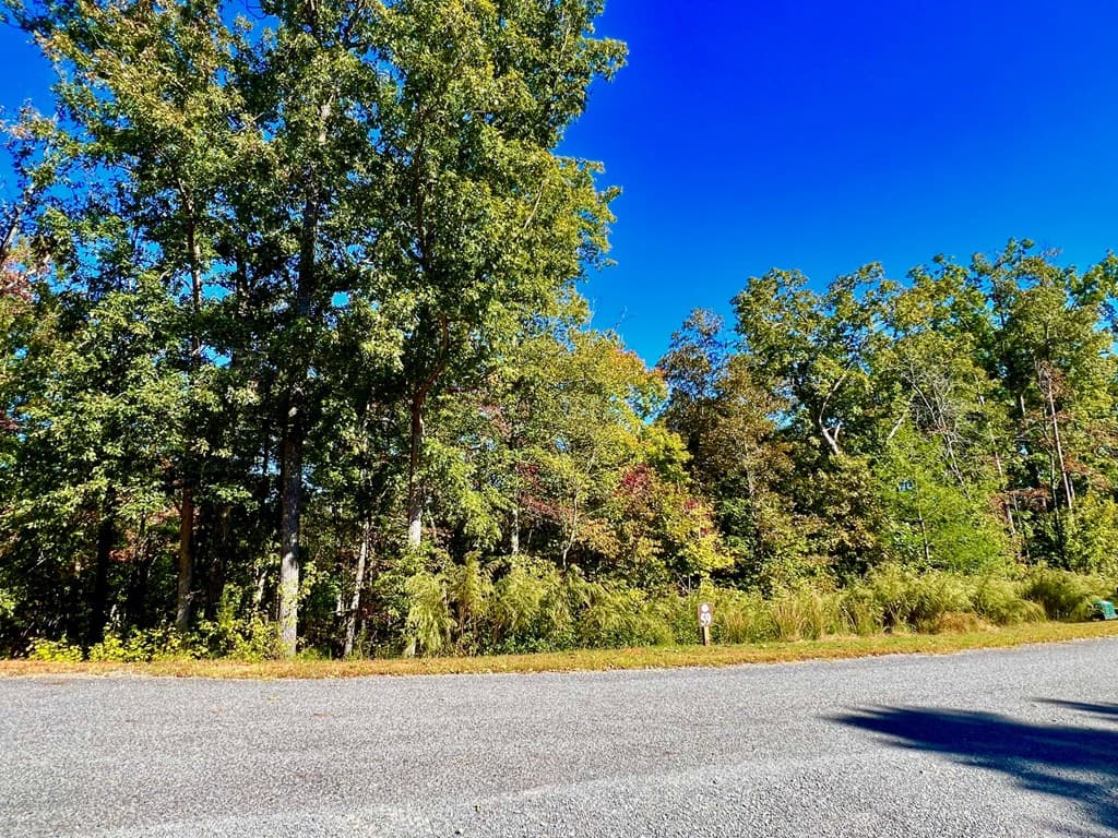 59 High River Landing, Ellijay GA 30540 - Photo