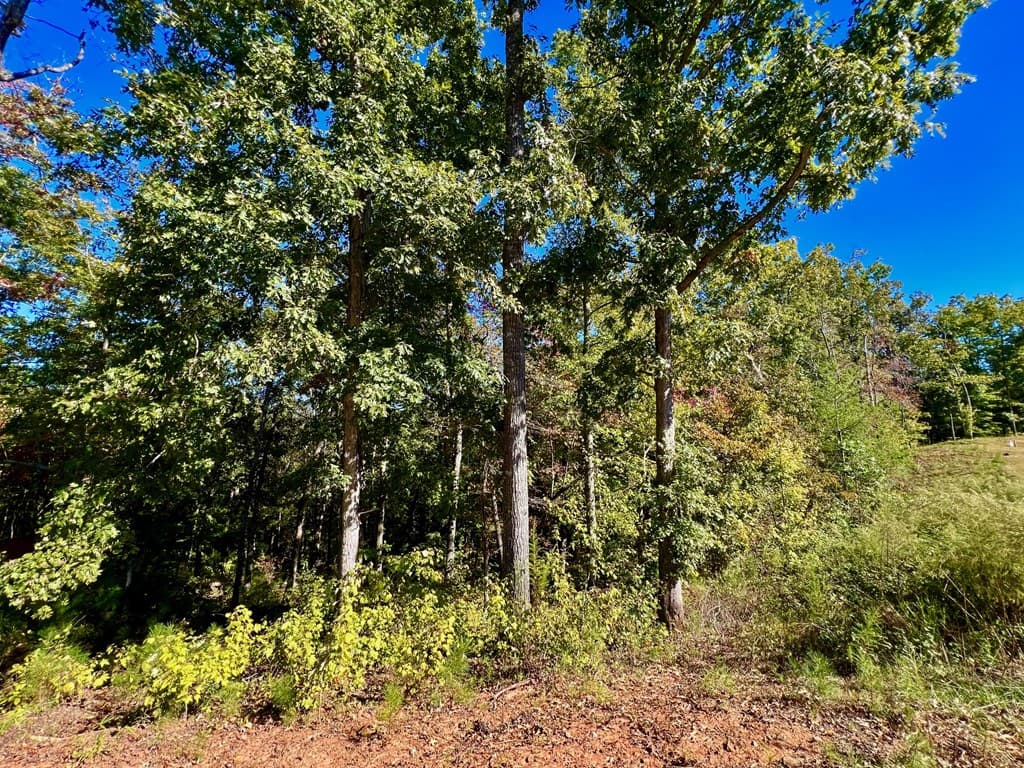 59 High River Landing, Ellijay GA 30540 - Photo