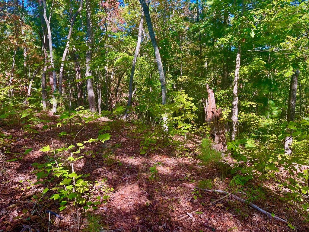 59 High River Landing, Ellijay GA 30540 - Photo