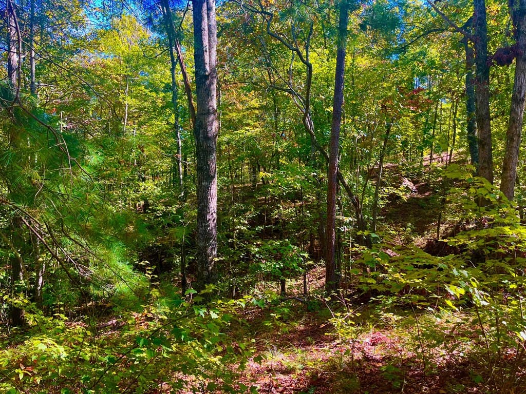 59 High River Landing, Ellijay GA 30540 - Photo