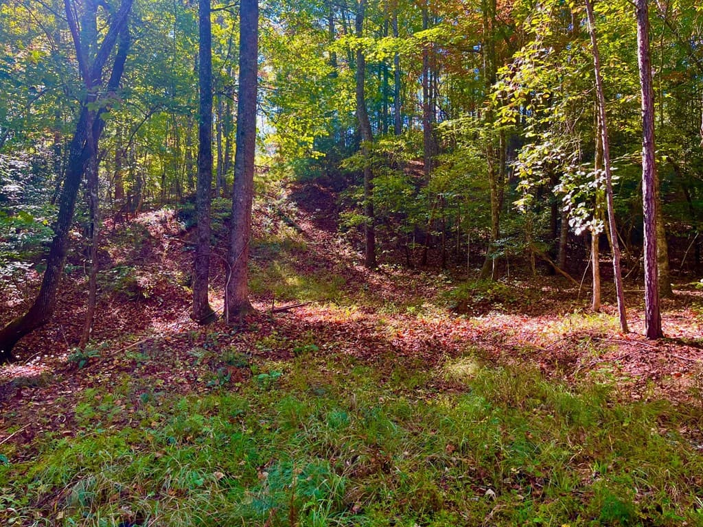 59 High River Landing, Ellijay GA 30540 - Photo