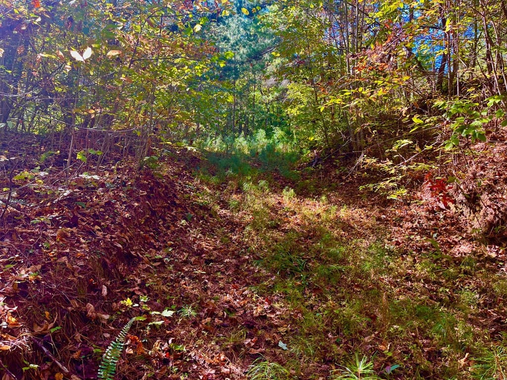 59 High River Landing, Ellijay GA 30540 - Photo