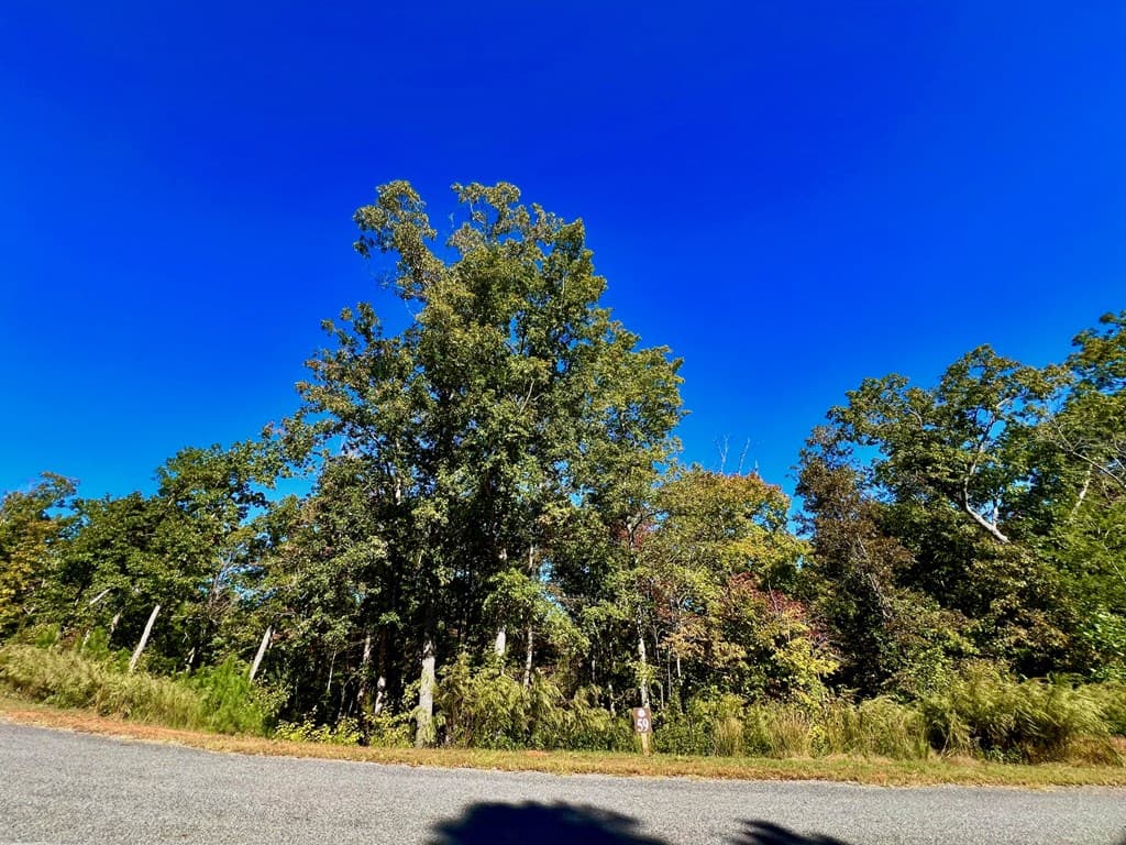 59 High River Landing, Ellijay GA 30540 - Photo