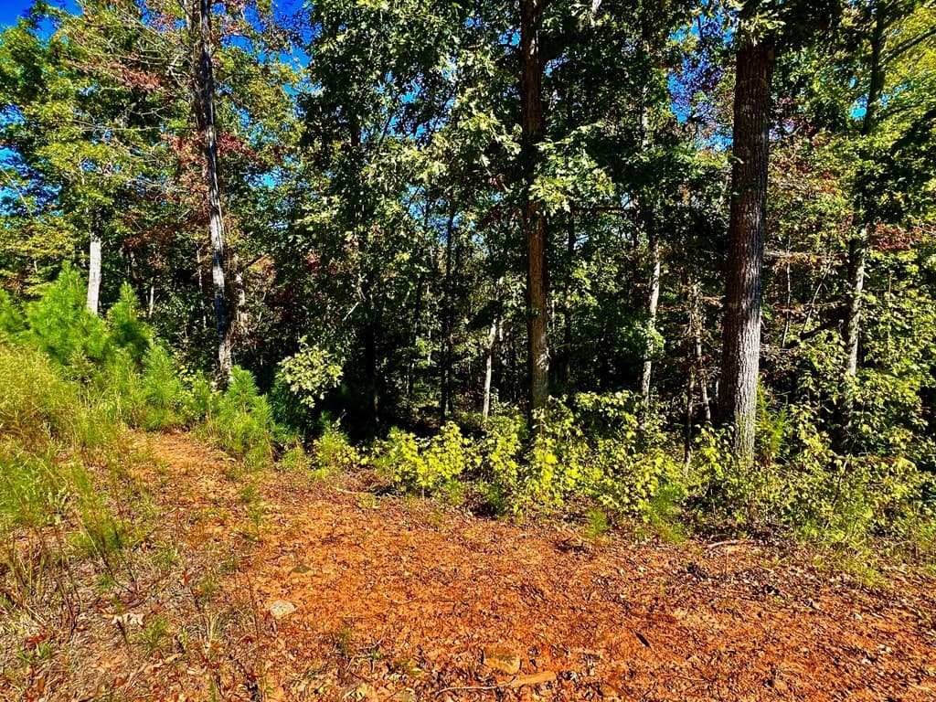 59 High River Landing, Ellijay GA 30540 - Photo