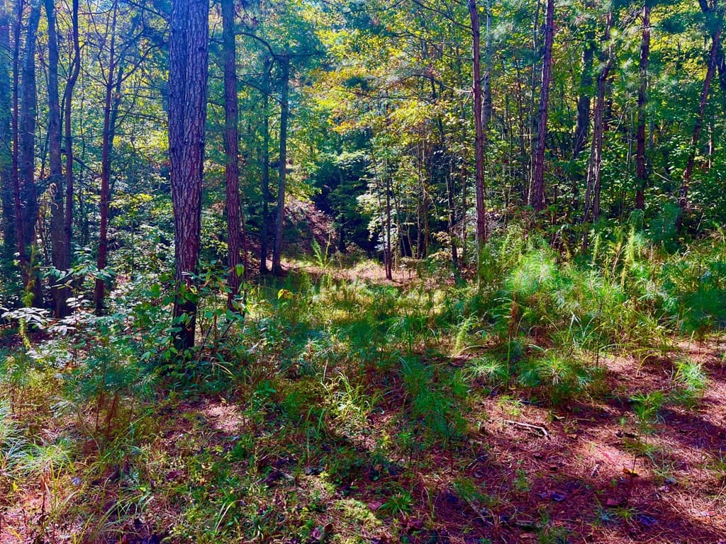 59 High River Landing, Ellijay GA 30540 - Photo