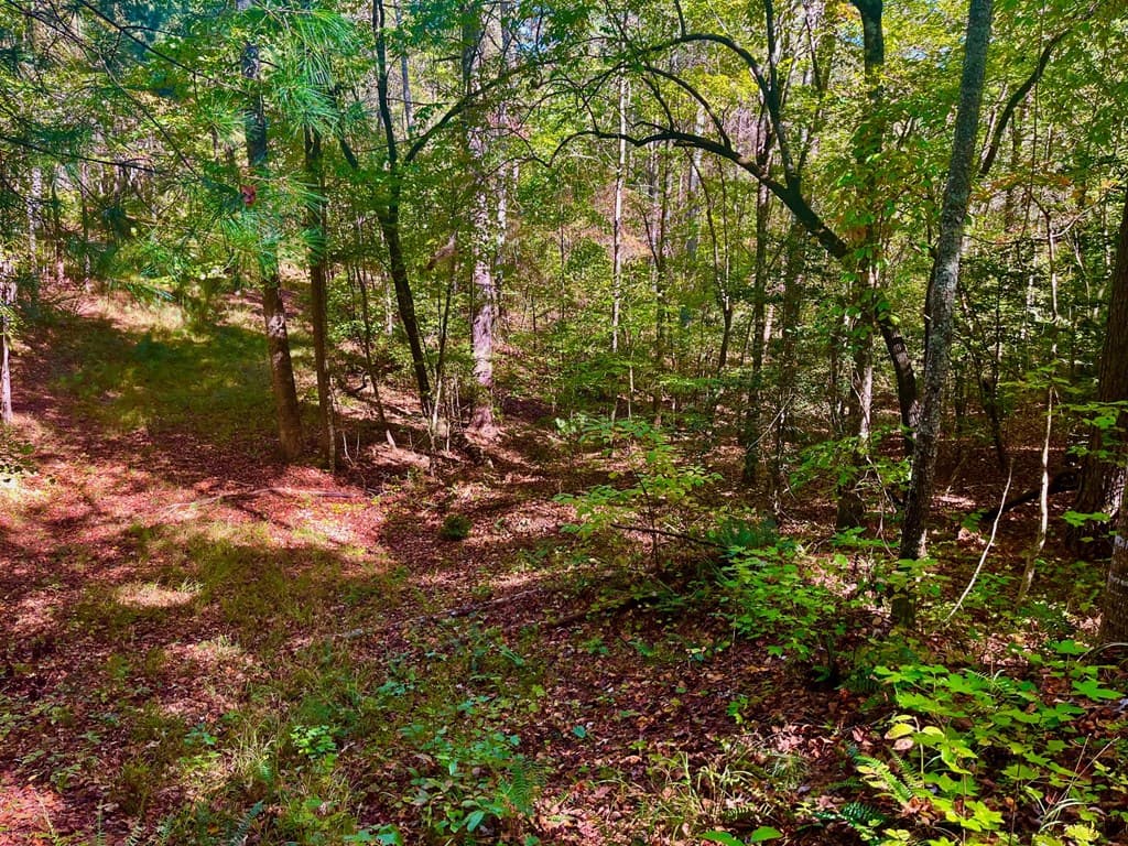 59 High River Landing, Ellijay GA 30540 - Photo