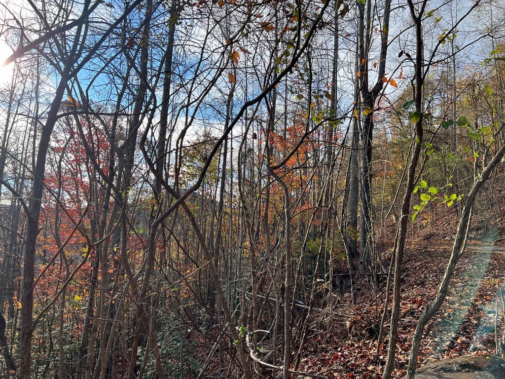 Tract 1 Hidden Summit Road, Hiawassee GA 30546 - Photo