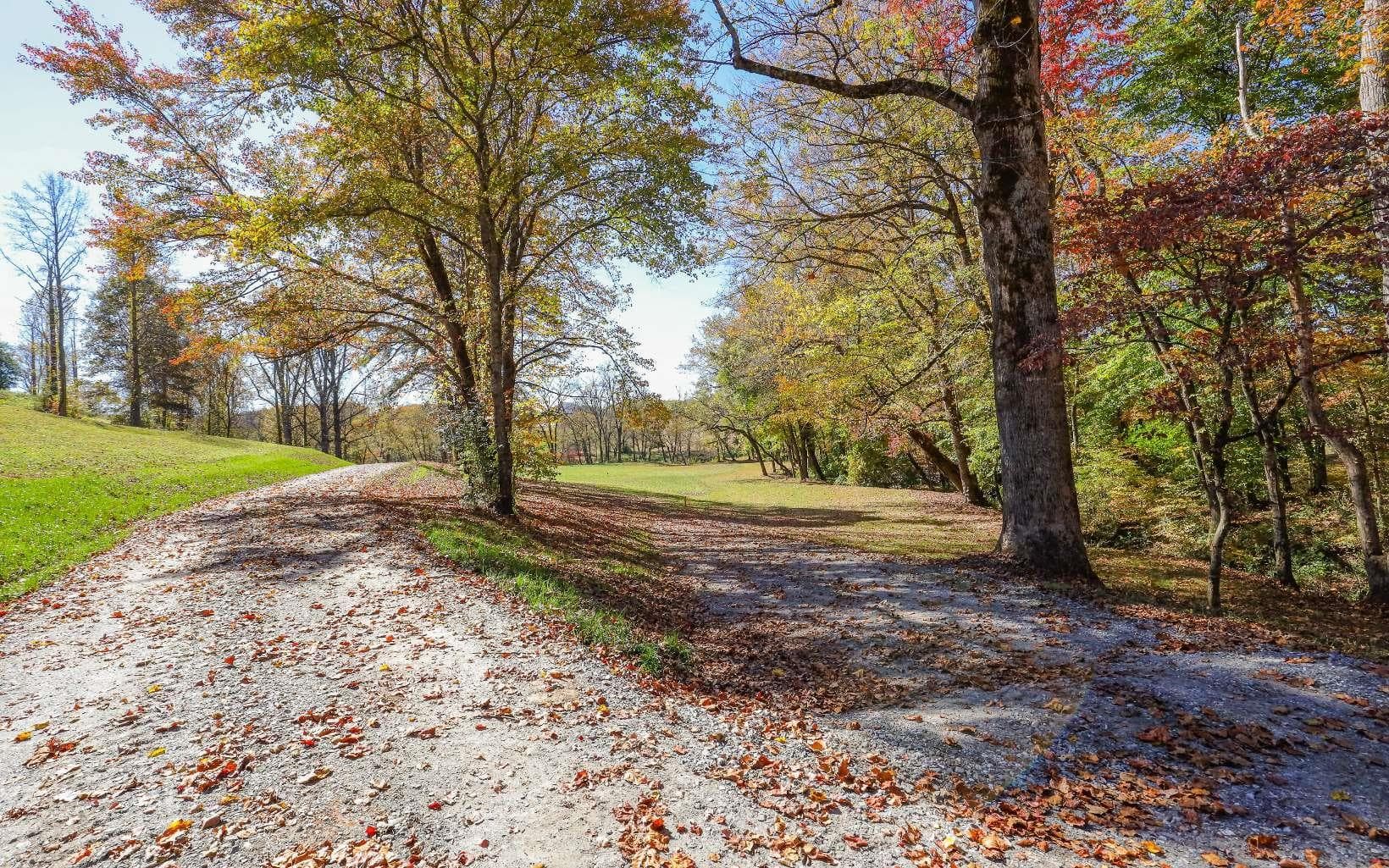 Lot 3 Hinton Overlook, Hayesville NC 28904 - Primary photo