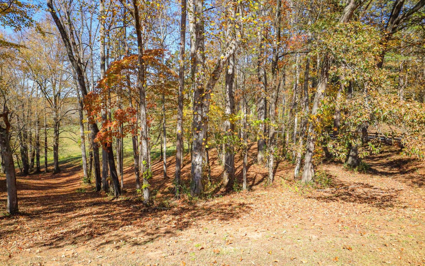 Lot 5 Hinton Overlook, Hayesville NC 28904 - Primary photo