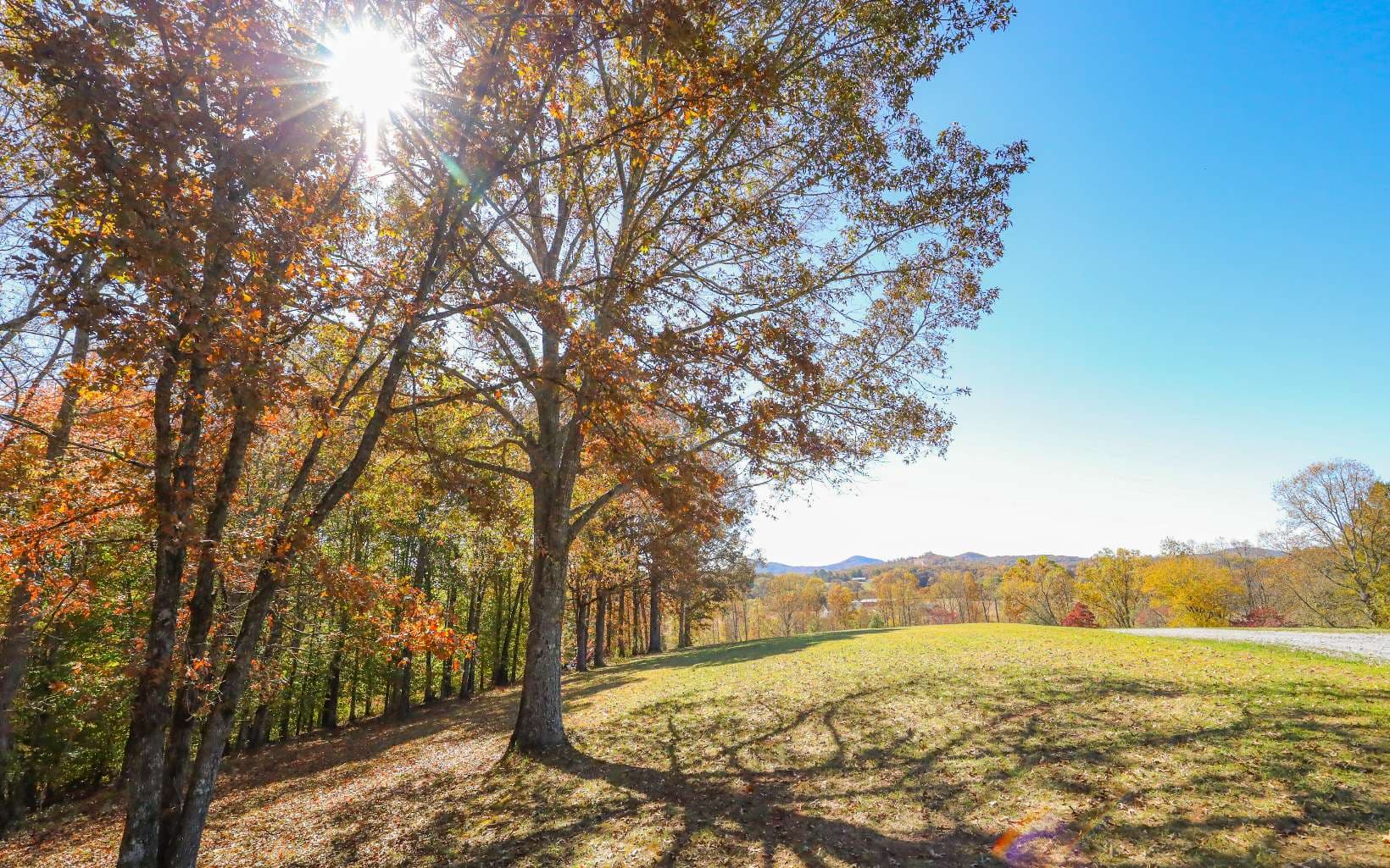 Lot 9 Hinton Overlook, Hayesville NC 28904 - Photo