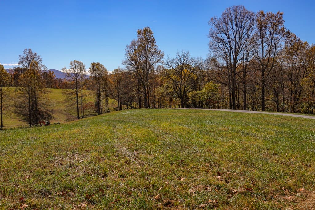 Lot 9 Hinton Overlook, Hayesville NC 28904 - Photo