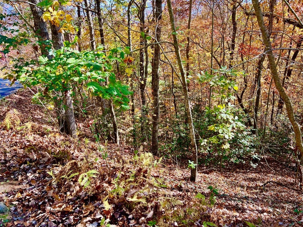 13 Up The Ridge Road, Blairsville GA 30512 - Photo