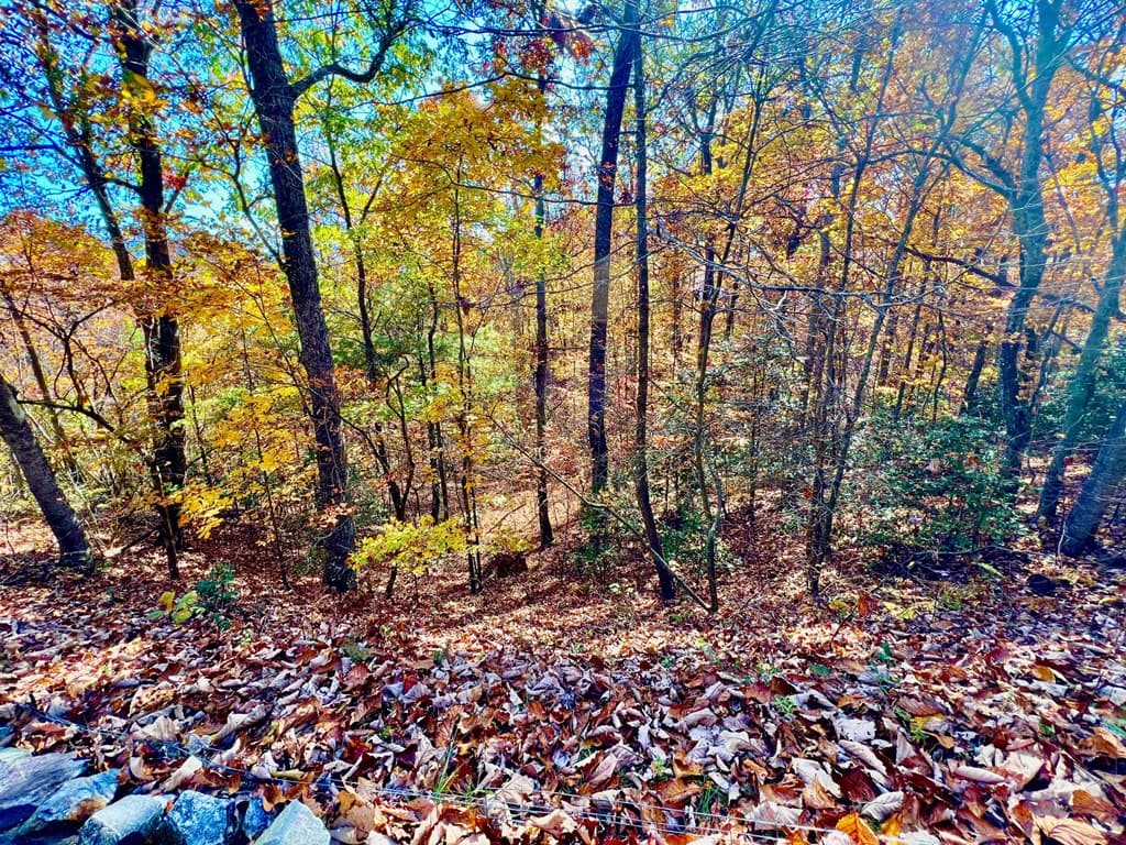 13 Up The Ridge Road, Blairsville GA 30512 - Photo