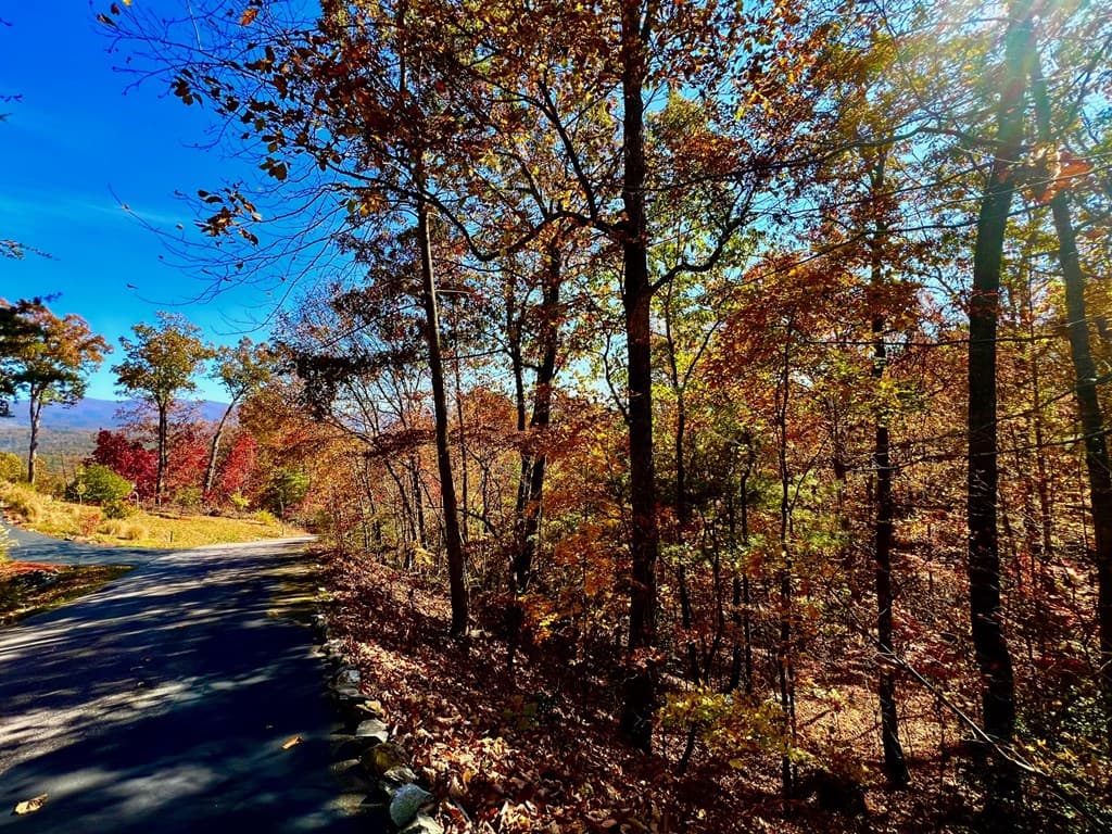 13 Up The Ridge Road, Blairsville GA 30512 - Photo