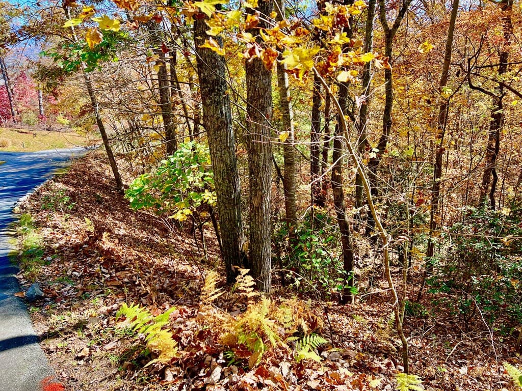 13 Up The Ridge Road, Blairsville GA 30512 - Photo