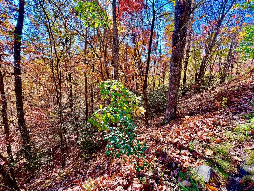 13 Up The Ridge Road, Blairsville GA 30512 - Photo