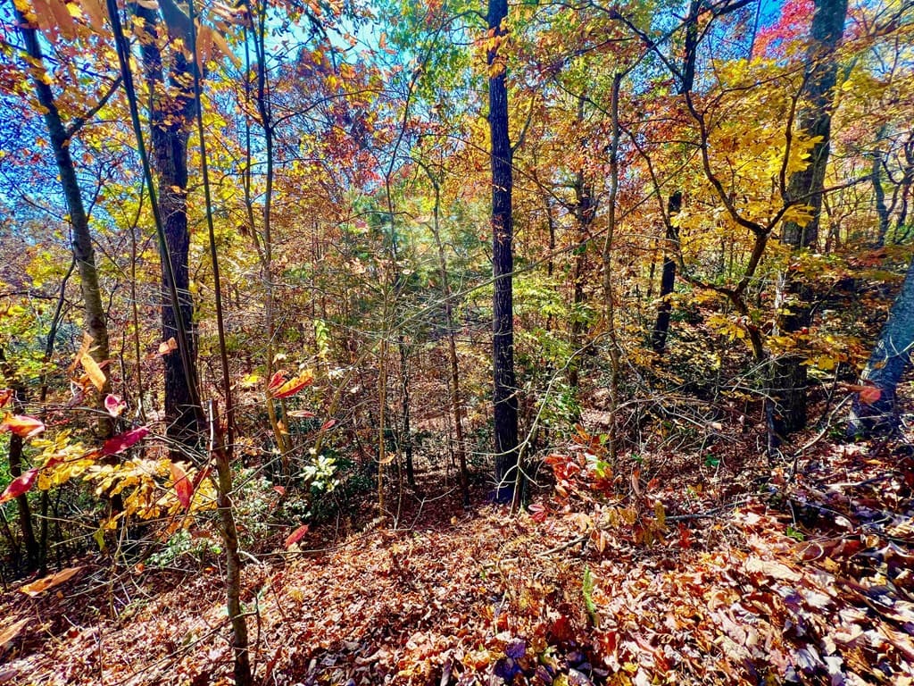 13 Up The Ridge Road, Blairsville GA 30512 - Photo