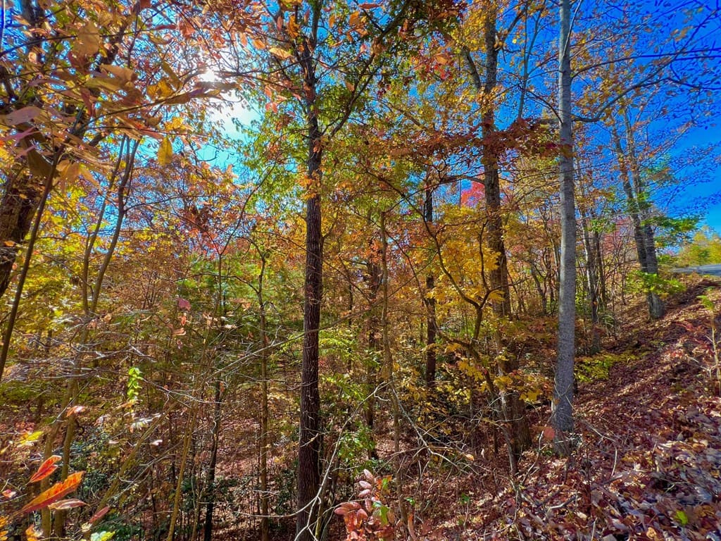 13 Up The Ridge Road, Blairsville GA 30512 - Photo