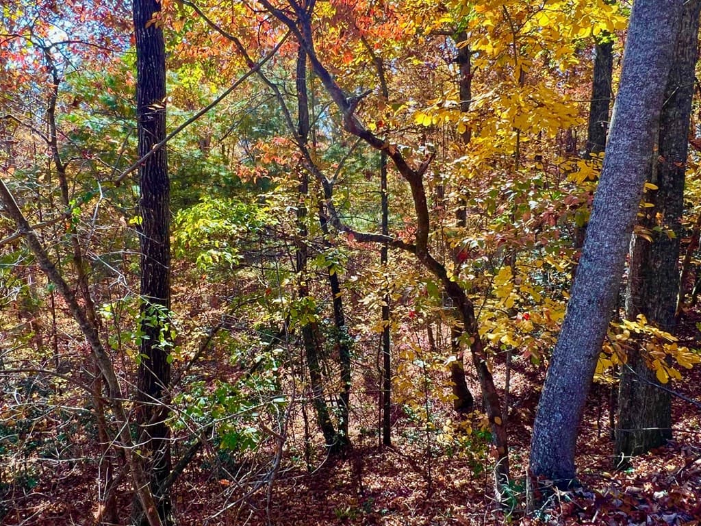 13 Up The Ridge Road, Blairsville GA 30512 - Photo