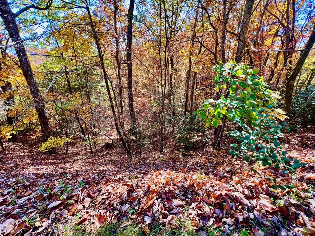 13 Up The Ridge Road, Blairsville GA 30512 - Photo