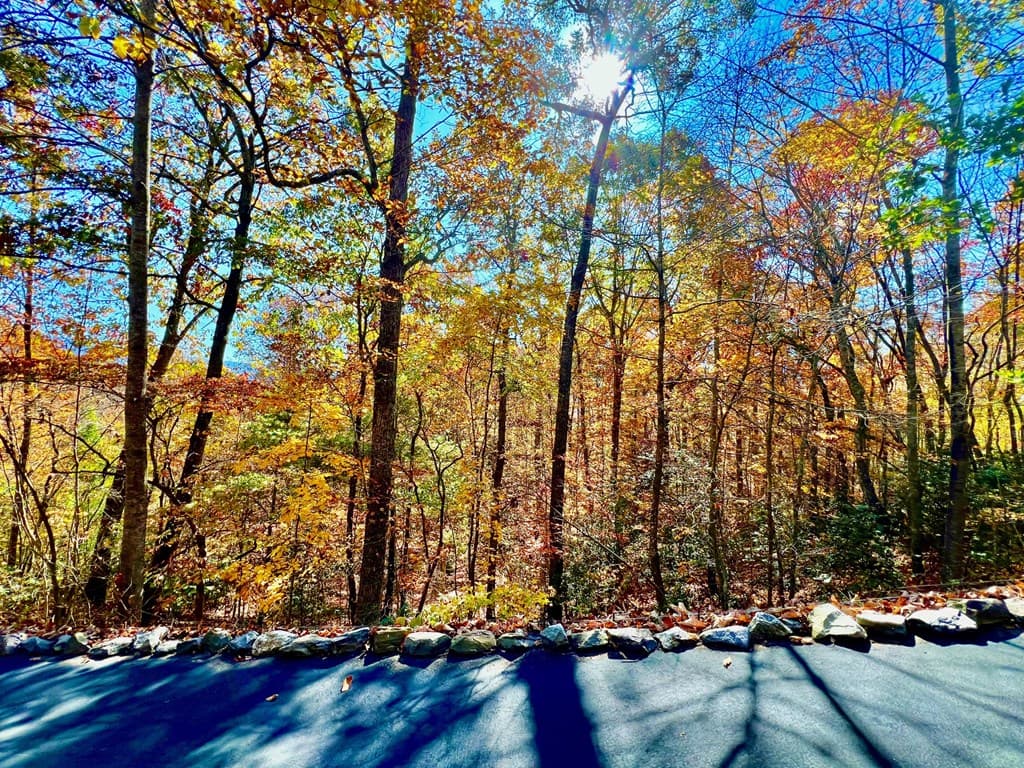 13 Up The Ridge Road, Blairsville GA 30512 - Photo