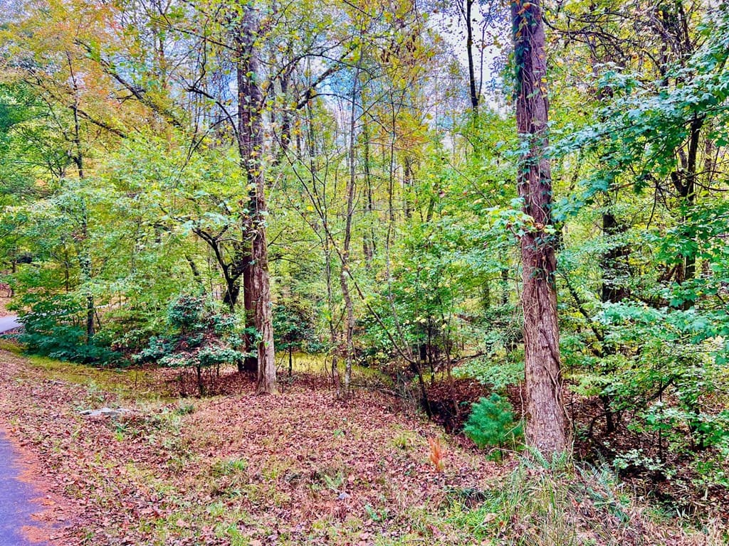 574 Satsuma Court S, Ellijay GA 30540 - Photo