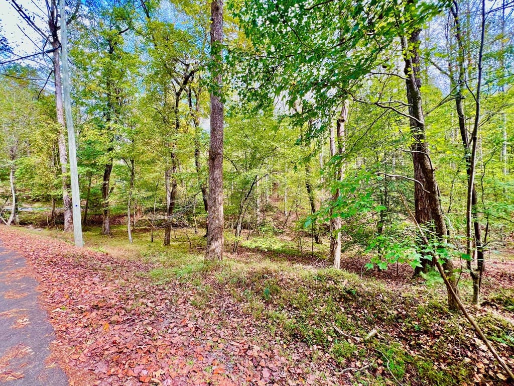 574 Satsuma Court S, Ellijay GA 30540 - Photo