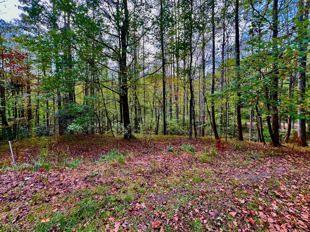 574 Satsuma Court S, Ellijay GA 30540 - Photo