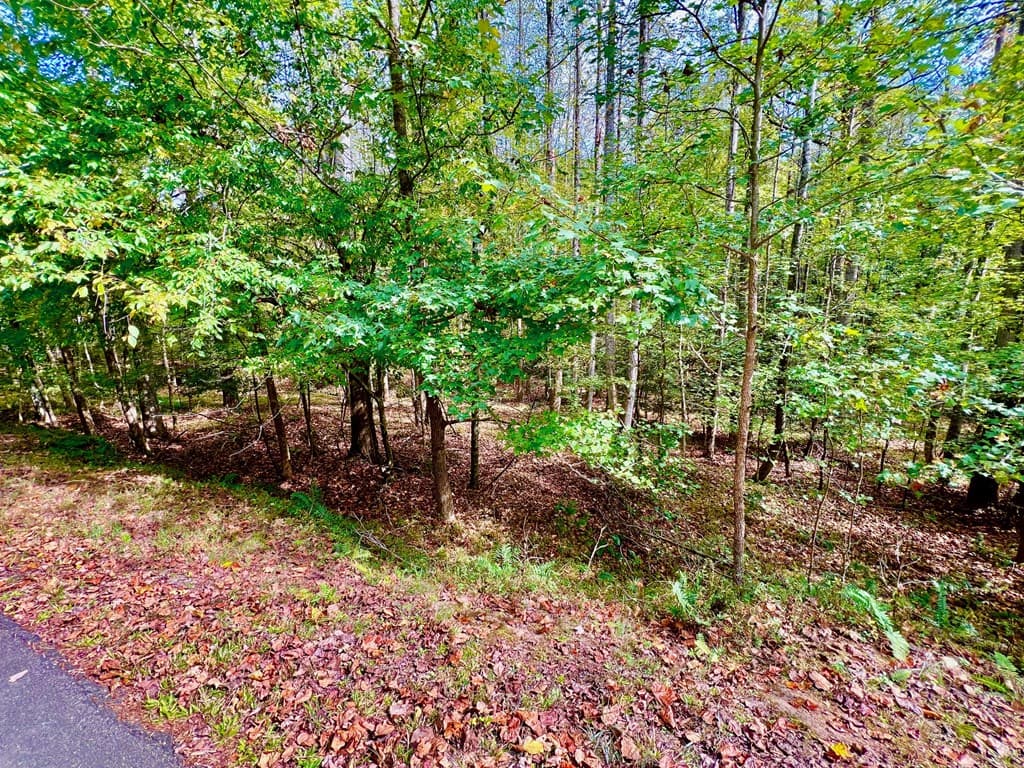 574 Satsuma Court S, Ellijay GA 30540 - Photo