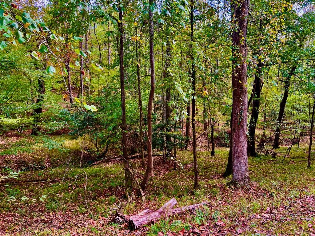 574 Satsuma Court S, Ellijay GA 30540 - Primary photo