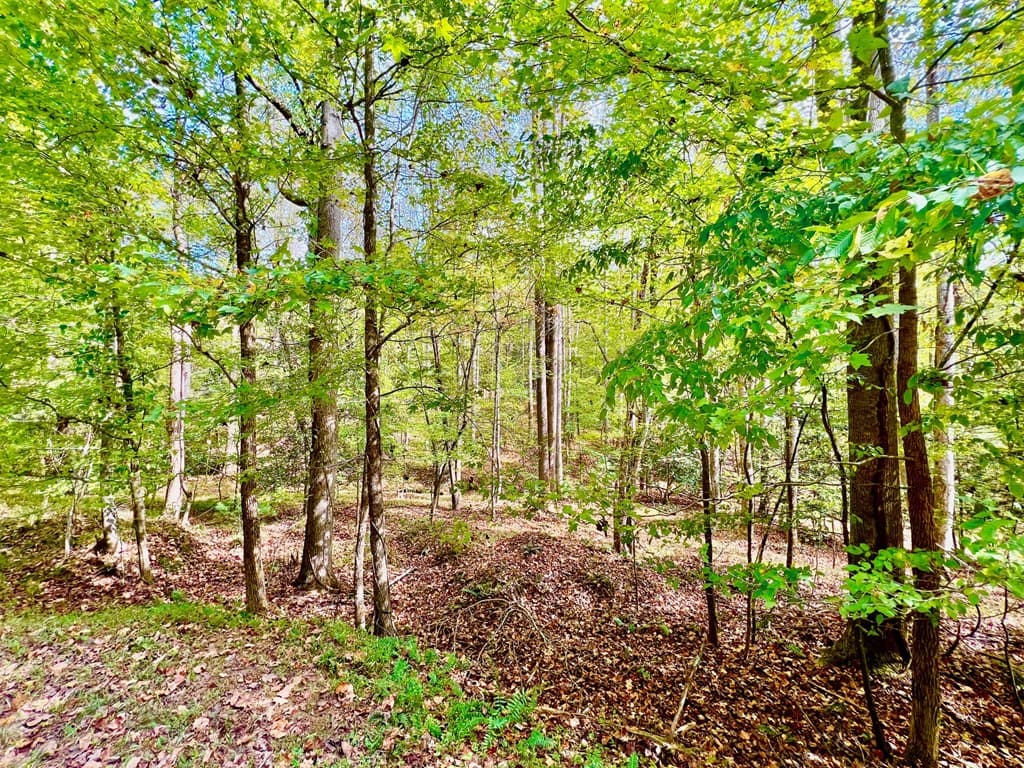 574 Satsuma Court S, Ellijay GA 30540 - Photo