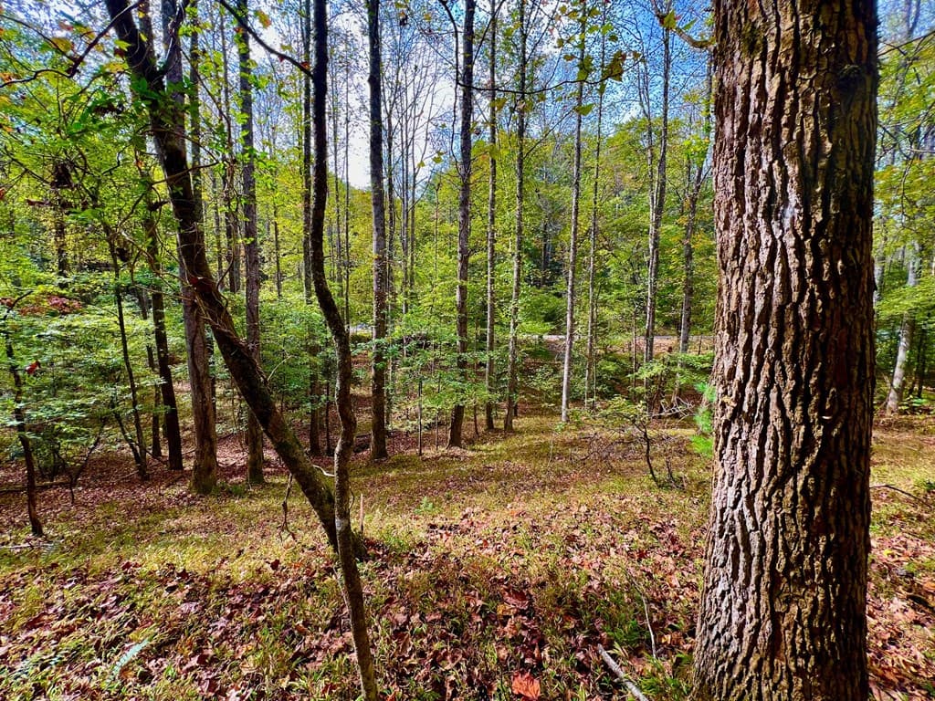 574 Satsuma Court S, Ellijay GA 30540 - Photo