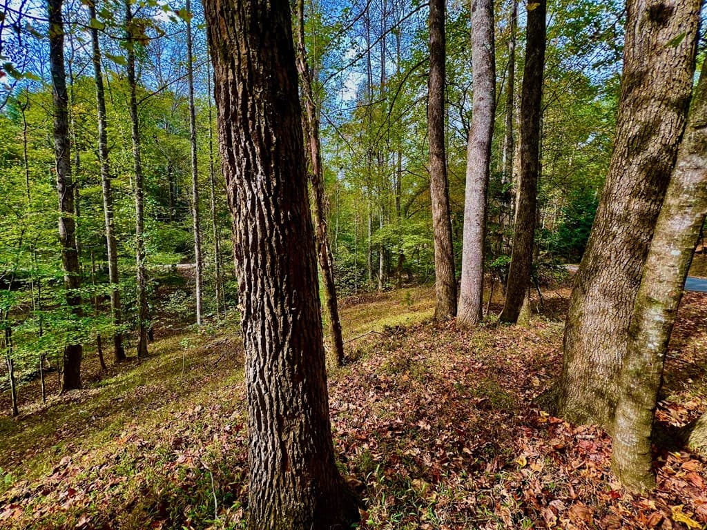 574 Satsuma Court S, Ellijay GA 30540 - Photo