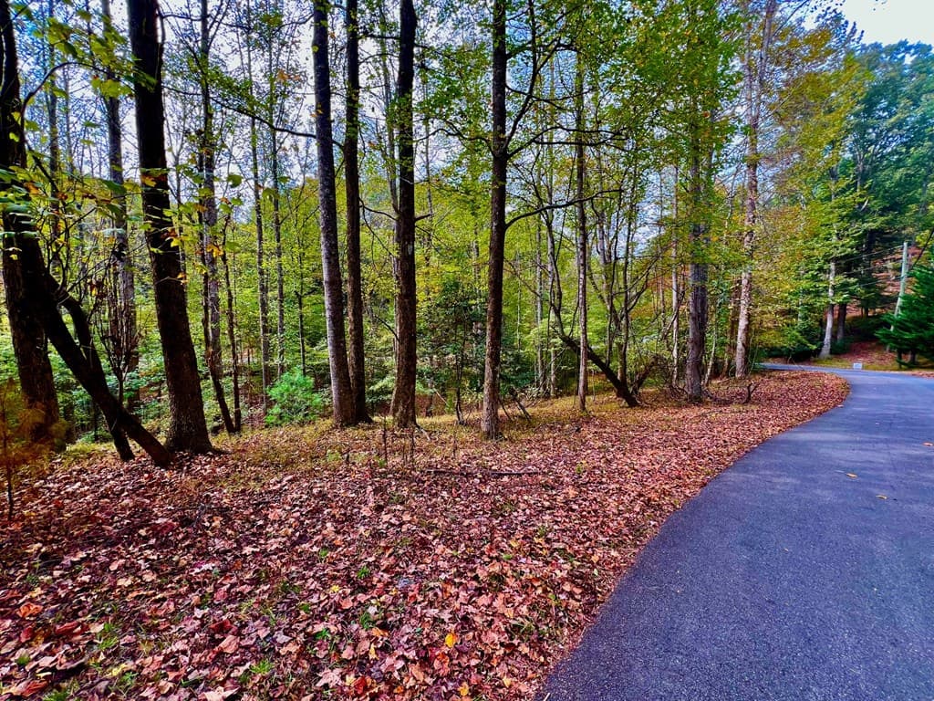 574 Satsuma Court S, Ellijay GA 30540 - Photo