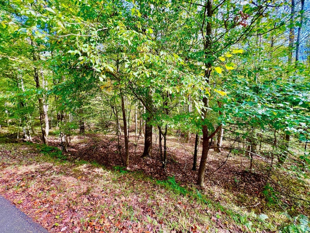 574 Satsuma Court S, Ellijay GA 30540 - Photo