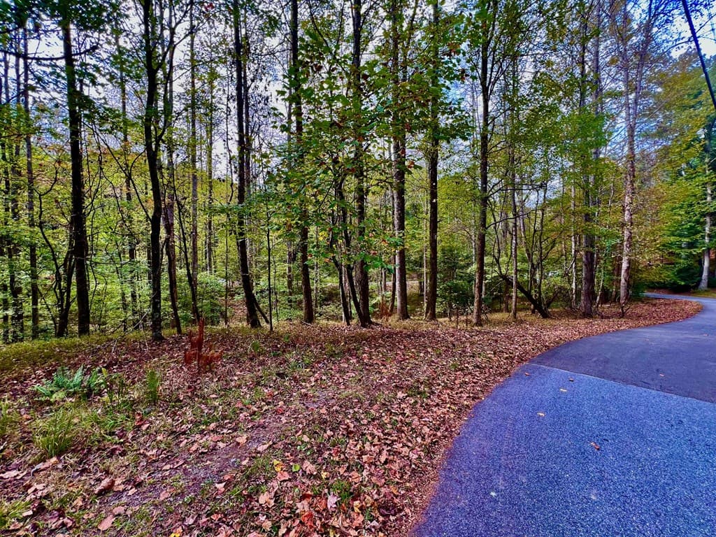 574 Satsuma Court S, Ellijay GA 30540 - Photo
