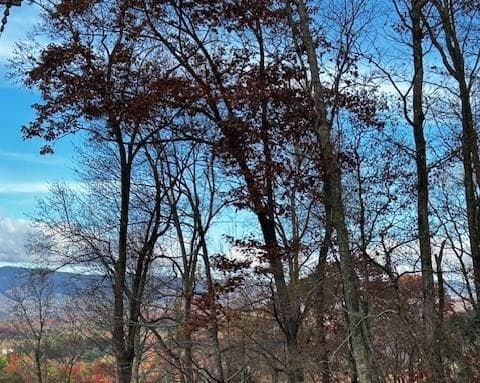 TBD Upper Peachtree Road, Murphy NC 28906 - Photo