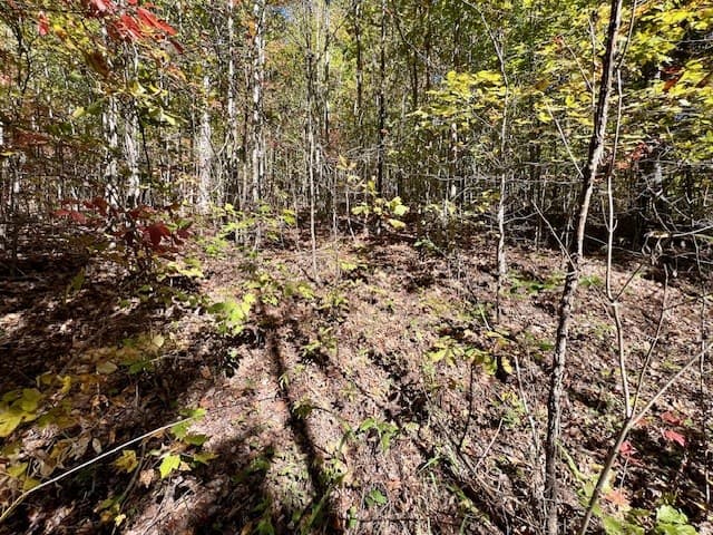 TBD Upper Peachtree Road, Murphy NC 28906 - Photo