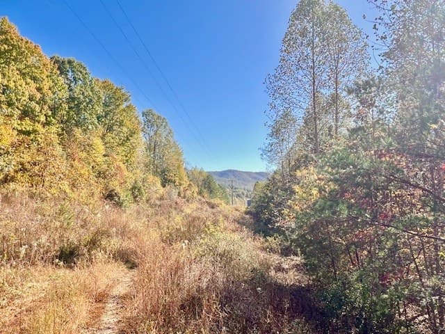 TBD Upper Peachtree Road, Murphy NC 28906 - Photo