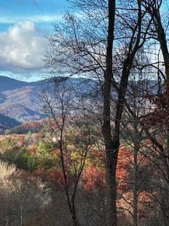 TBD Upper Peachtree Road, Murphy NC 28906 - Photo