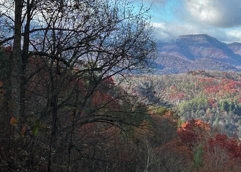 TBD Upper Peachtree Road, Murphy NC 28906 - Primary photo
