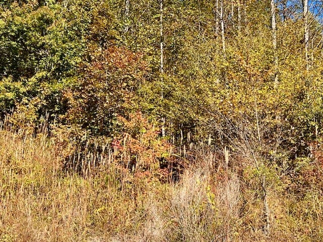 TBD Upper Peachtree Road, Murphy NC 28906 - Photo