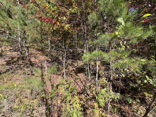 TBD Upper Peachtree Road, Murphy NC 28906 - Photo