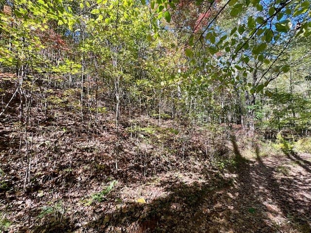 TBD Upper Peachtree Road, Murphy NC 28906 - Photo