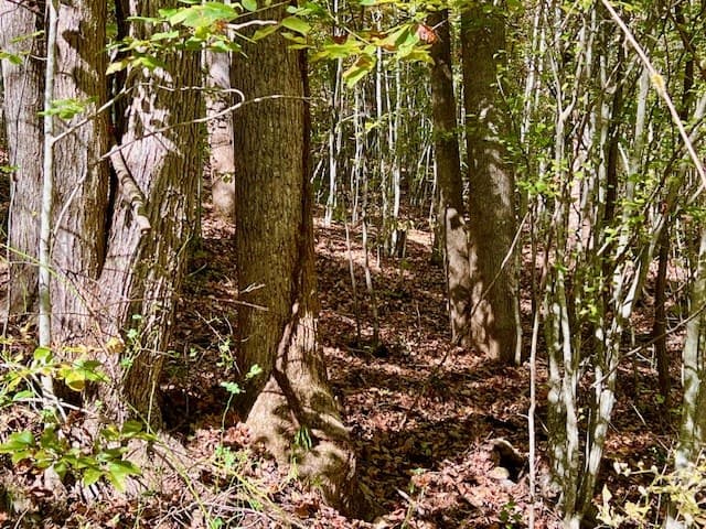 TBD Upper Peachtree Road, Murphy NC 28906 - Photo