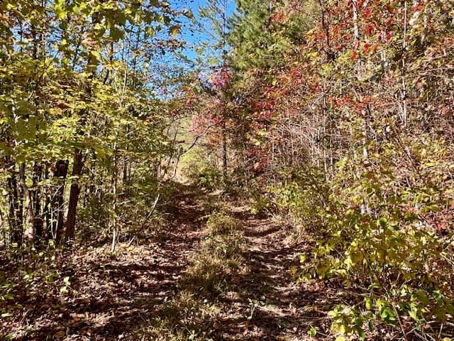 TBD Upper Peachtree Road, Murphy NC 28906 - Photo