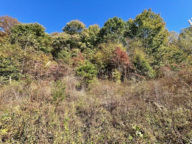TBD Upper Peachtree Road, Murphy NC 28906 - Photo