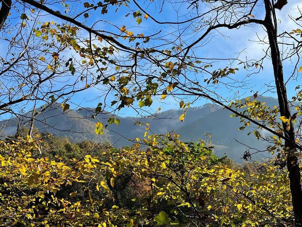 Lot 132A Meadow Ridge Drive, Hayesville NC 28904 - Photo