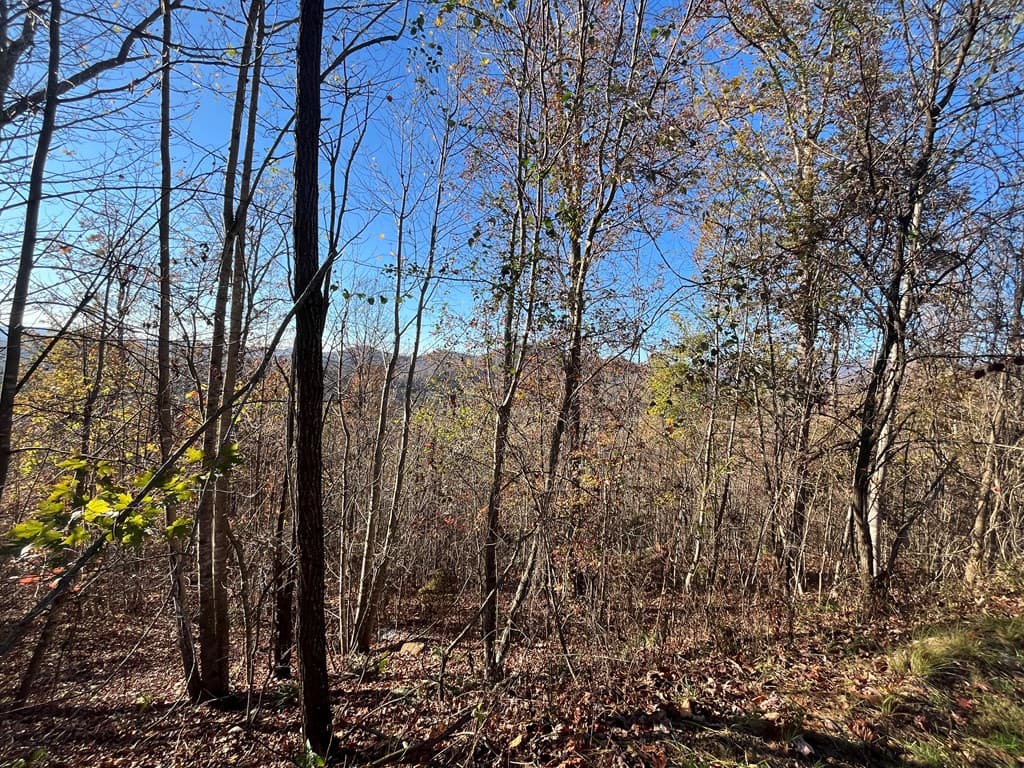 41 42 43 Ridges Overlook, Hayesville NC 28904 - Photo