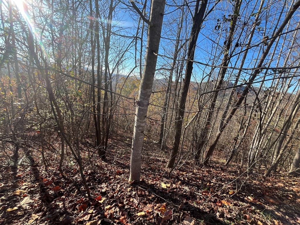 41 42 43 Ridges Overlook, Hayesville NC 28904 - Photo